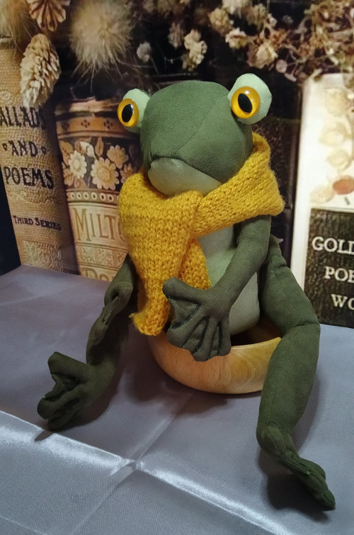 Oranžooká — foto 6