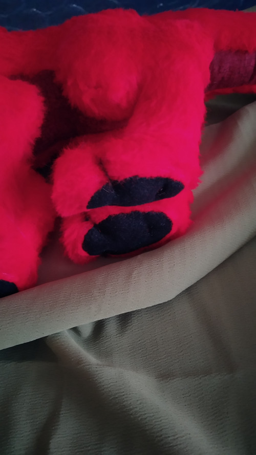 Drak — foto 5