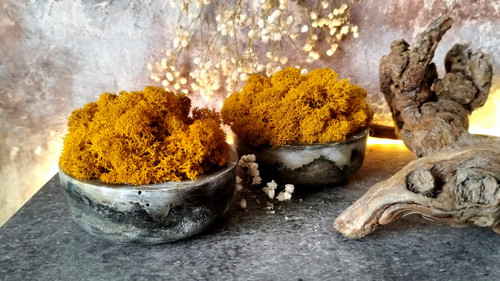 Beton-miska "Mech+curry" — foto 2