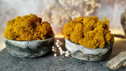 Beton-miska "Mech+curry" — foto 3