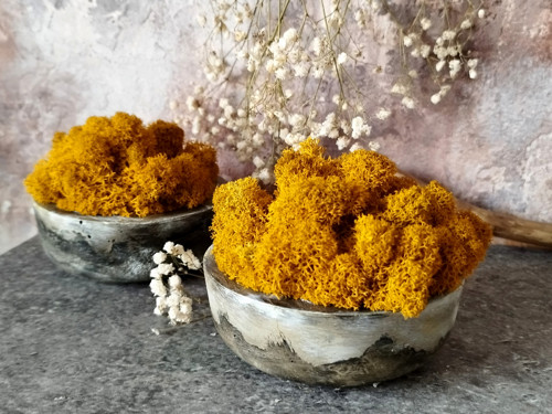 Beton-miska "Mech+curry" — foto 6