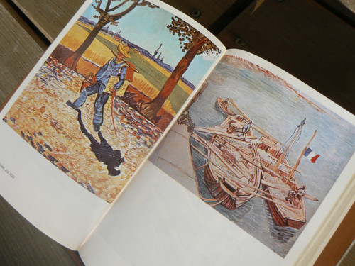 Žízeň po životě - Irving Stone. — foto 6