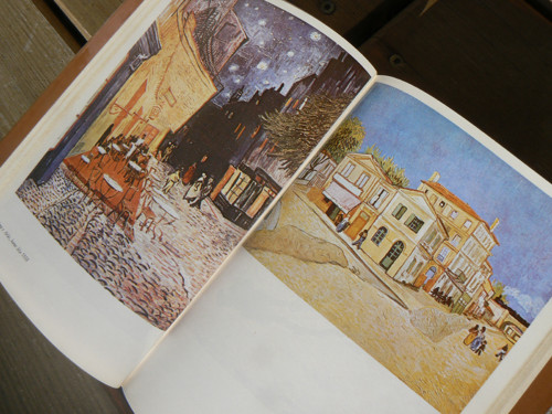 Žízeň po životě - Irving Stone. — foto 5