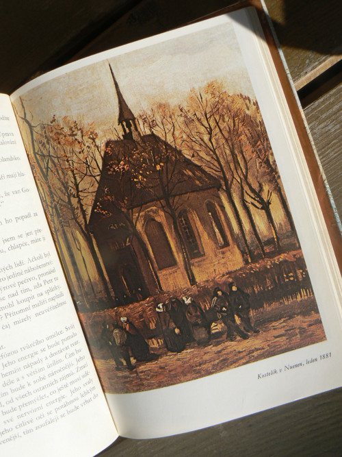 Žízeň po životě - Irving Stone. — foto 3