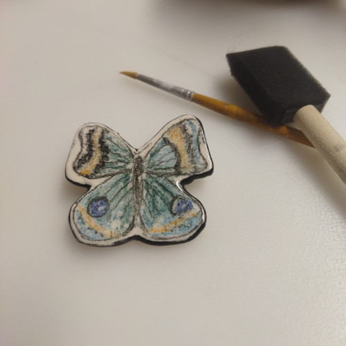 Křídla motýlí — foto 3