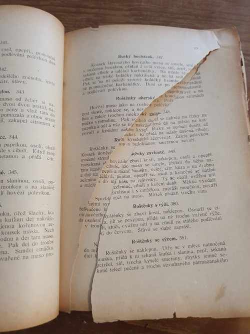 Kuchařka M. Štechové — foto 4