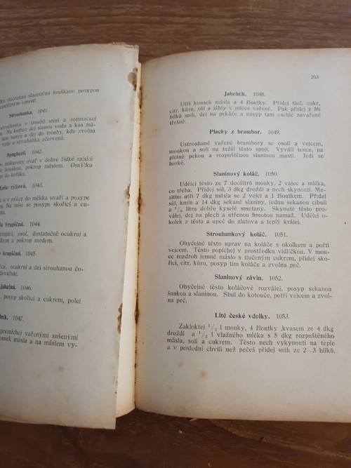 Kuchařka M. Štechové — foto 5