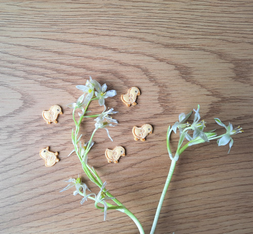 Nažehlovačka...mini kuřátko... — foto 2