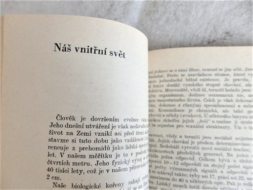 Člověk a jeho svět — foto 3