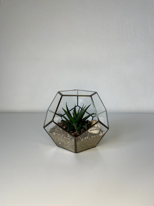 Florarium "Pětiúhelník" — foto 2