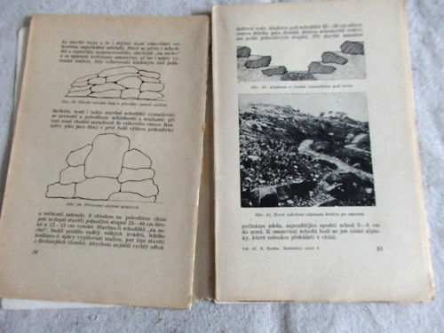 Zakládání alpin — foto 3
