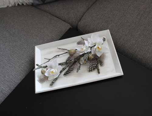Narcisky na tácku — foto 3