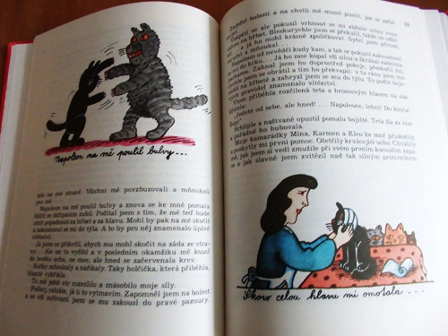 Kocour Standa — foto 4