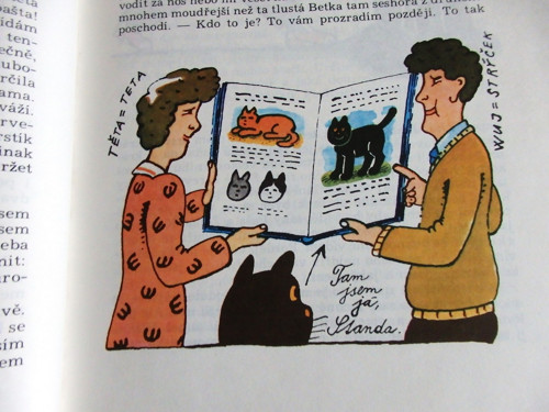 Kocour Standa — foto 3