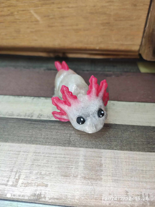 Malý Axolotl - hýbací - barevný — foto 3