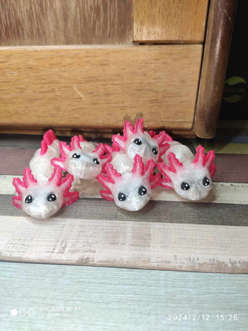 Malý Axolotl - hýbací - barevný — foto 4