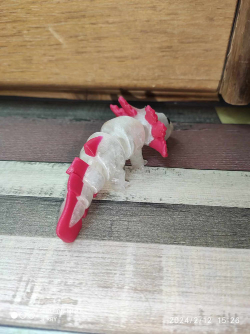 Malý Axolotl - hýbací - barevný — foto 2