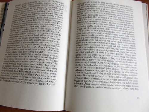 Plecháček — foto 4