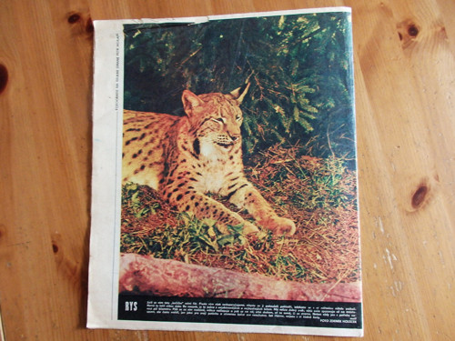 Vlasta 5. června 1974 - časopis — foto 6