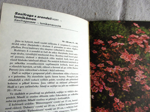 Skalničky — foto 6