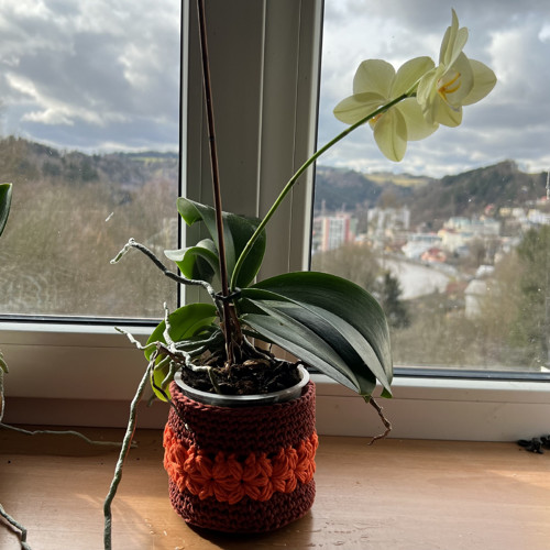 Háčkovaný košíček na cokoliv ⌀ 12cm — foto 3