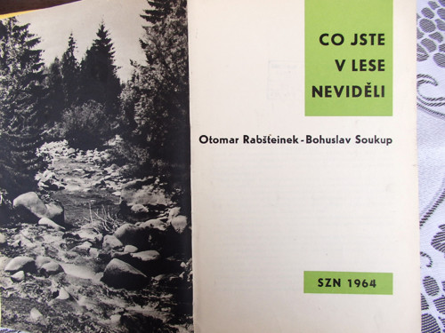 Co jste v lese neviděli — foto 2