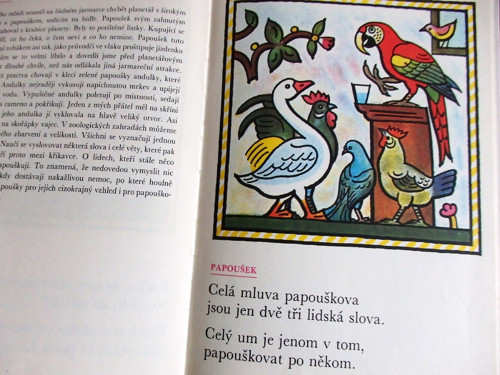 Ptáci — foto 2