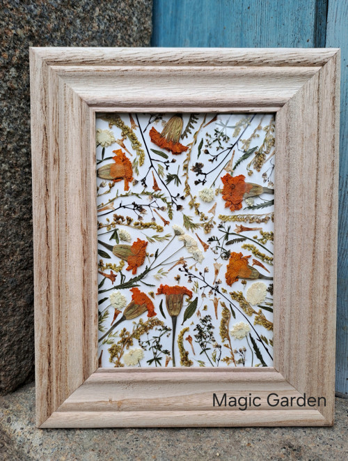Magic Garden Afrikány — foto 3