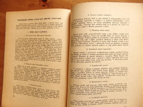 Ovocné zákrsky tvarované — foto 5
