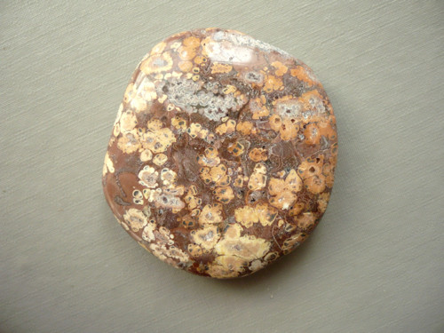 Placka - jaspis leopardí 46 mm, č.375w — foto 2