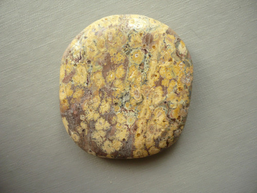 Placka - jaspis leopardí 43 mm, č.377w — foto 2