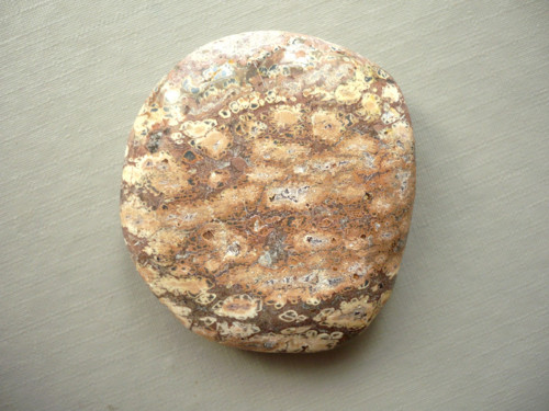 Placka - jaspis leopardí 44 mm, č.381w — foto 2