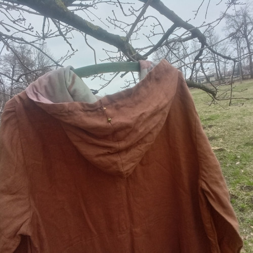 ŽARARAKA rogata — foto 6