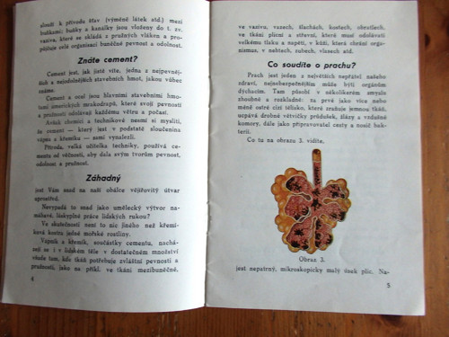 Slabé plíce — foto 3