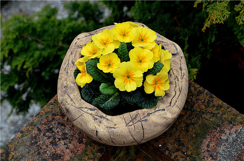 Miska / pítko "stone" - ihned — foto 4