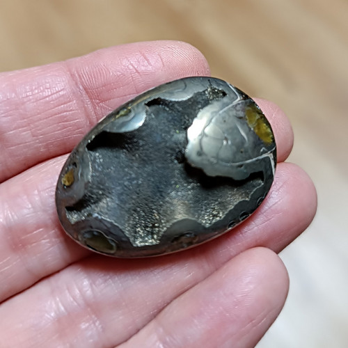Pyritový Amonit, ID 3591, 36x26 mm — foto 3