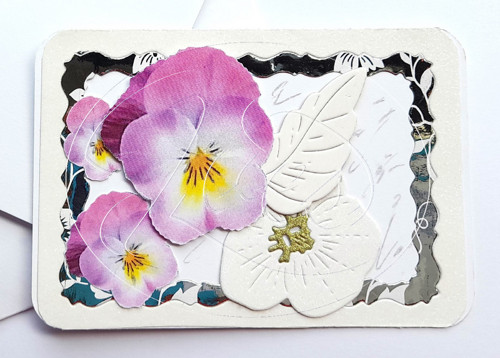Vzkazová kartička Macešky (973) — foto 2