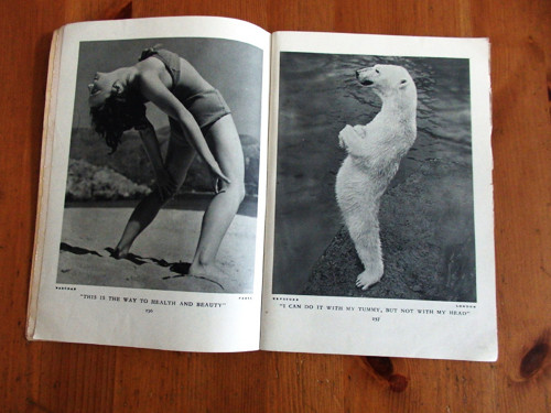 Lilliput — foto 3