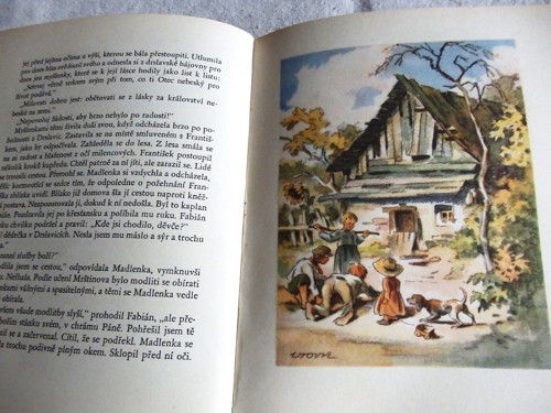 Za ranních červánků — foto 4