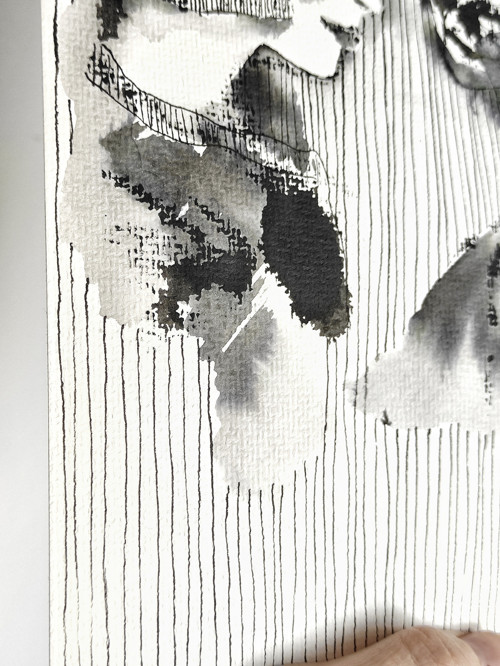 Môj priateľ tiger — foto 3