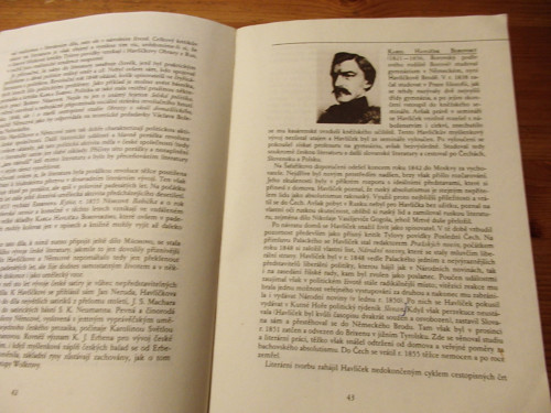 Přehled dějin literatury — foto 3