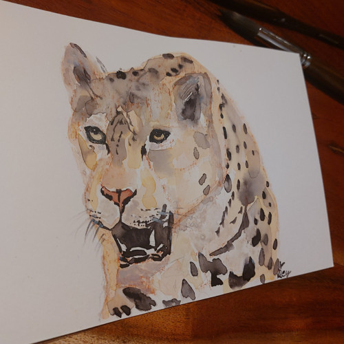 Jaguár — foto 2