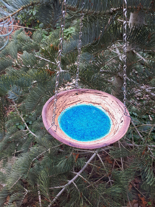 Studánka pro ptáčky, včelky a čmeláčky... — foto 5