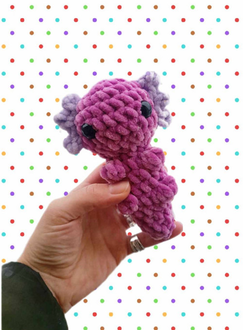 Axolotl PC 152,- — foto 2