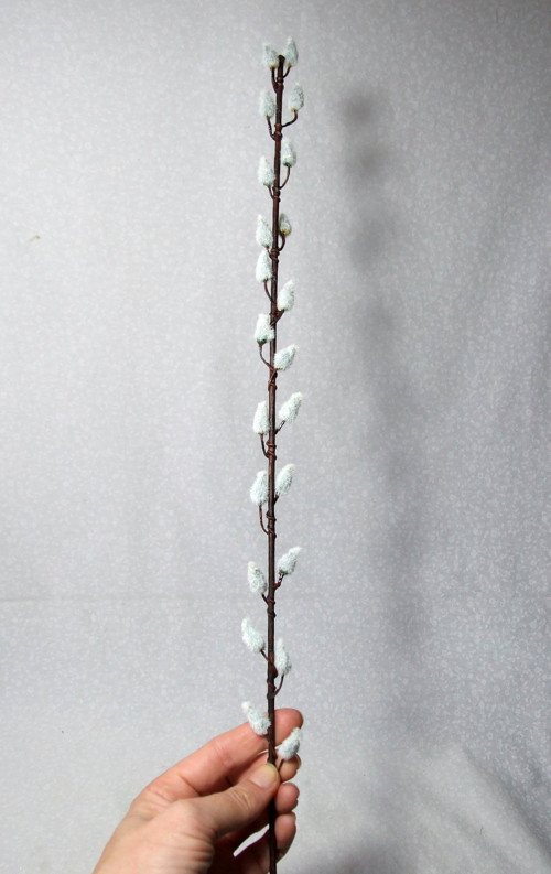 Kočičky pro alergiky, 55 cm — foto 2