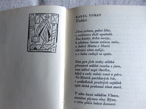 Cesta kolem světa — foto 4