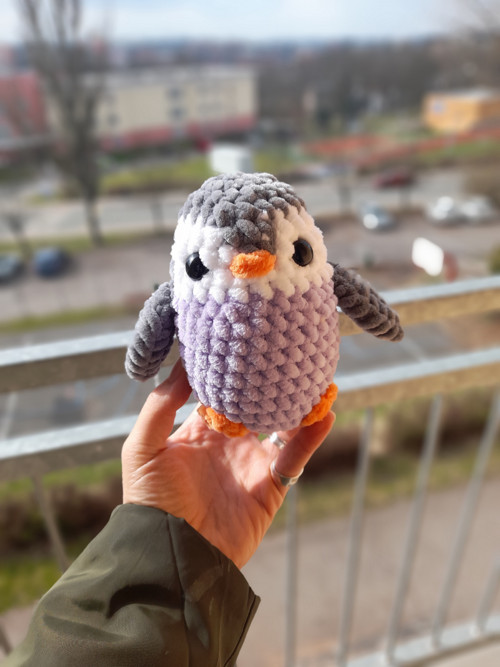Tučňáček fialkový — foto 2
