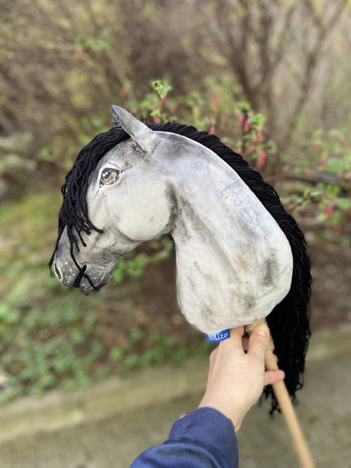 Pony s příslušenstvím na přání — foto 6