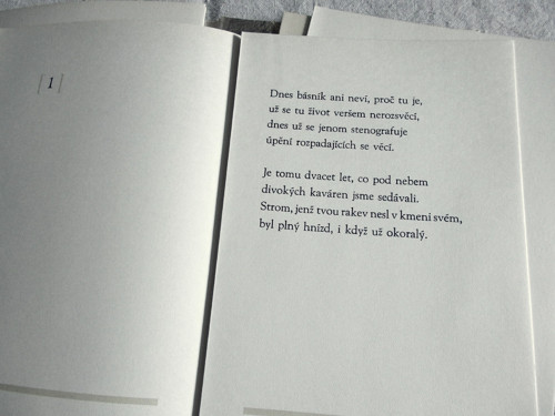 Svit hvězdy umřelé — foto 4