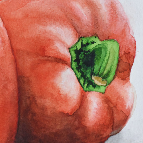 Akvarel "Červená paprika" — foto 3